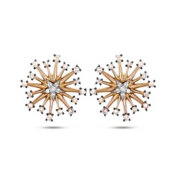 0,38 Karat Brauner Diamant Ohrringe - 2