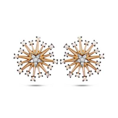 0,38 Karat Brauner Diamant Ohrringe - 2