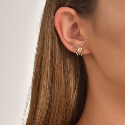 0,38 Karat Brauner Diamant Ohrringe - 4