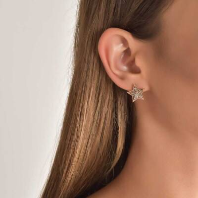 0,44 Karat Brauner Diamant Stern Form Ohrringe - 4