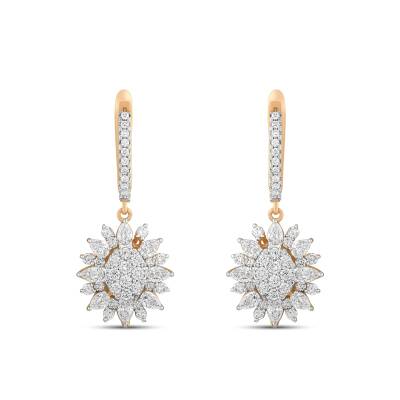 2,48 Karat Diamant Ohrringe - 2